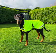 Manteau Pour Chien, Jaune Fluo