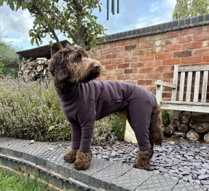 Habit Pour Chien, Espresso
