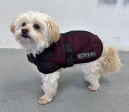 Manteau Pour Chien, Prune