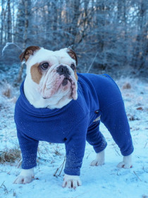 Habit Pour Chien, Bleu Denim