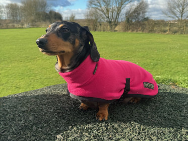 Manteau Col Roulé, Rose