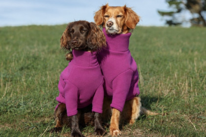 Pull Pour Chien, Digitale Sauvage