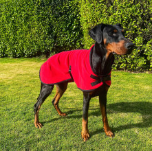 Manteau Pour Chien, Rouge
