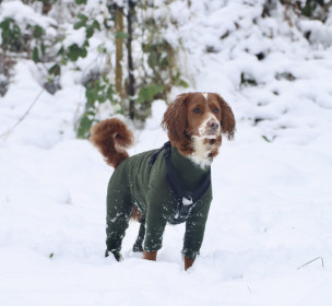Habit Pour Chien, Vert Olive