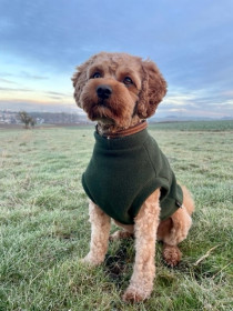 Débardeur Pour Chien, Vert Olive