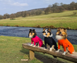 Habit d’Été, Orange Vif, Noir, Framboise