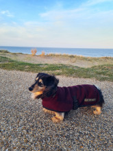 Manteau Col Roulé, Prune