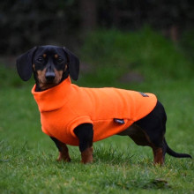 Pull Pour Teckel, Orange Vif