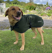 Manteau Pour Chien, Vert Olive