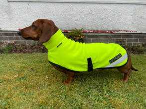 Manteau Col Roulé, Jaune Fluo