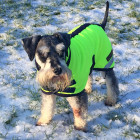 Manteau Pour Chien