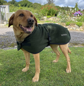 Manteau Pour Chien, Vert Olive