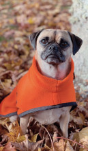 Manteau Col Roulé, Orange Vif