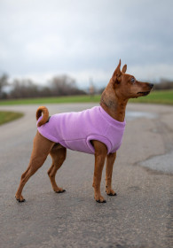 Débardeur Pour Chien, Bruyère Pâle