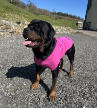 T-Shirt Débardeur, Rose Framboise
