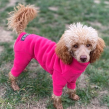 Habit Pour Chien, Rose