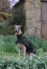 Manteau Col Roulé, Vert Olive