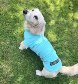T-Shirt Débardeur, Menthe Verte