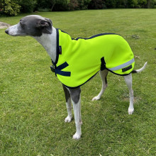 Manteau Pour Chien, Jaune Fluo