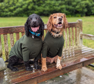 Pull Pour Chien, Vert Olive