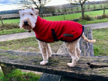 Manteau Col Roulé, Rouge