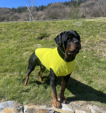 T-Shirt Débardeur, Jaune Citron Vert