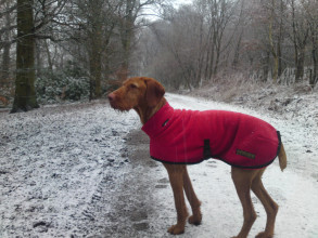 Manteau Col Roulé, Rouge