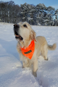 Foulard Fluo, Orange Vif