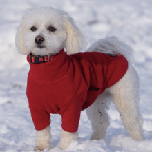 Pull Pour Chien, Rouge
