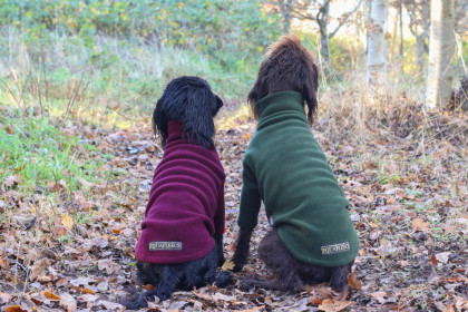 Pull Pour Chien, Vert Olive, Prune