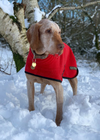 Manteau Col Roulé, Rouge