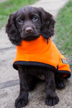 Manteau Col Roulé, Orange Vif