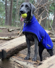 Manteau Col Roulé, Bleu Cobalt