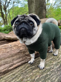 Habit Pour Chien, Vert Olive