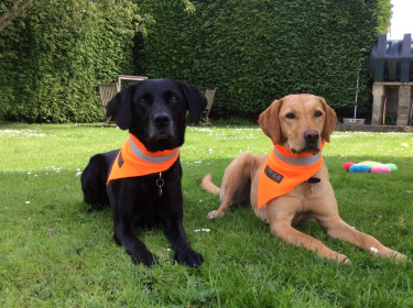 Foulard Fluo, Orange Vif