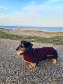 Manteau Col Roulé, Prune
