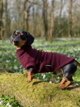 Pull Pour Teckel, Prune