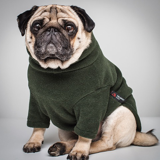 Pull Pour Chien Equafleece